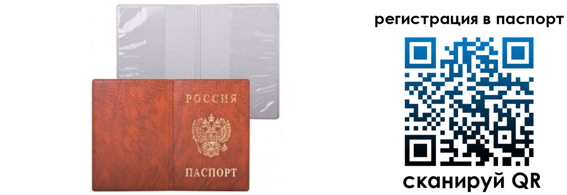 прописка ребенка в Струнино